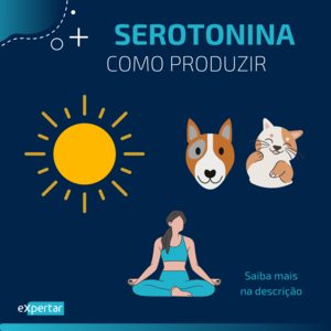 Serotonina_3